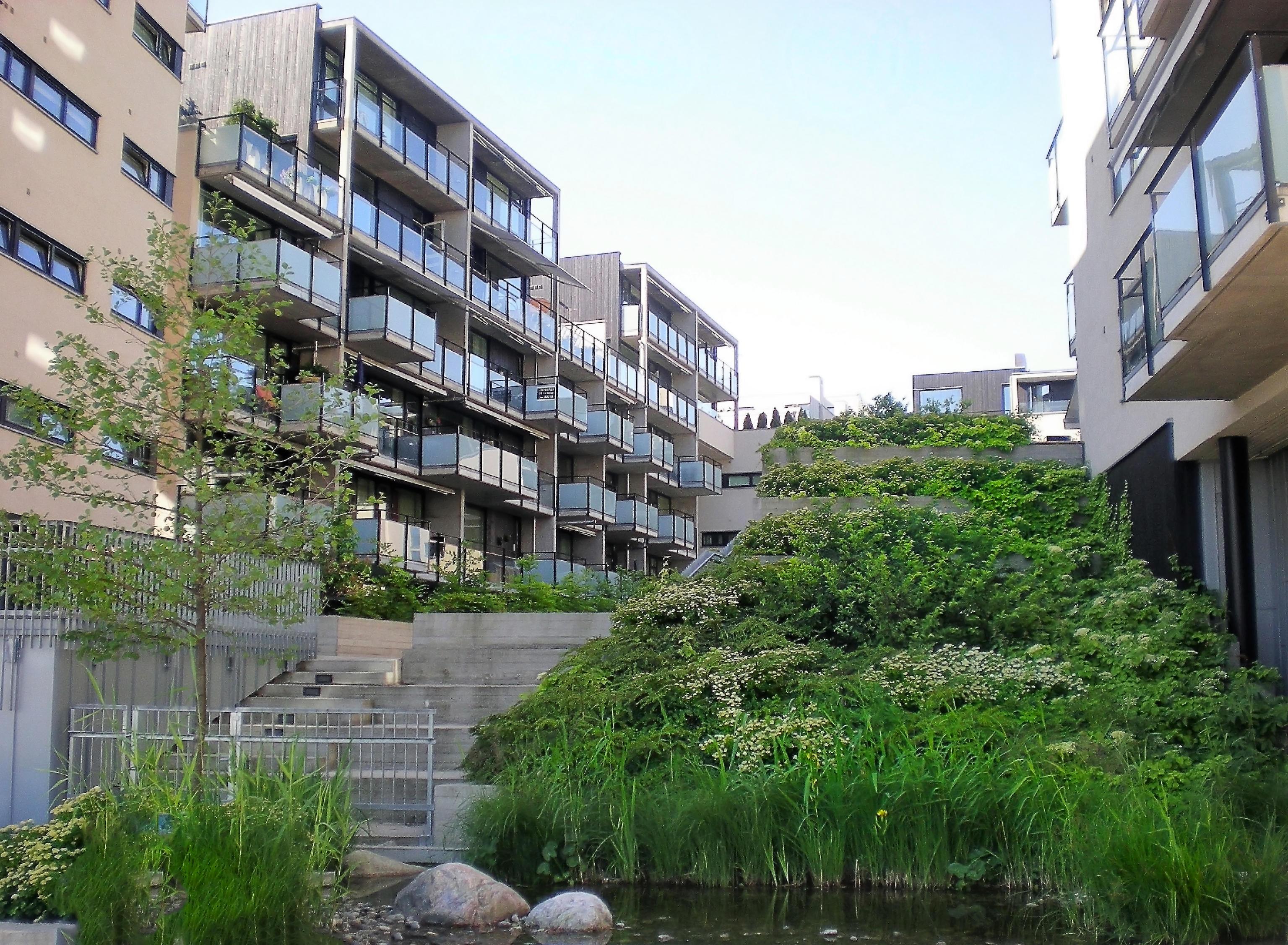 Pollenkvartalet juni 2009 013 2